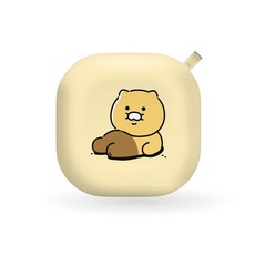 춘식이버즈케이스