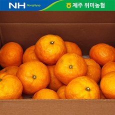 [기타] 제주 위미농협 감귤 카라향 5kg(18-36과내외), 상세 설명 참조