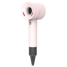 다이슨드라이빗