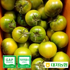 짭짤이 토마토 대저 농협인증 대져 고당도 s-2s 부산 국산 제철 과일, 1개, l실속형l 대저토마토 2.5kg(랜덤)