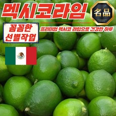 프리미엄 멕시코 라임 10과, 10개