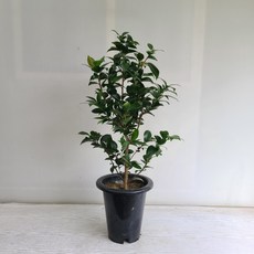 ec5fc8ed990a5305bf6ed347802e1458a3cd6f653f8734da88ee712b1aa2.jpg