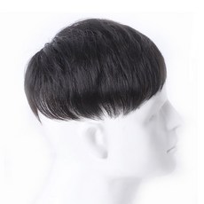 남자정수리인모가발