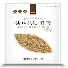 진도귀리10키로