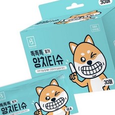 삼식마켓 강아지 양치티슈 딸기향 반려견양치, 1개