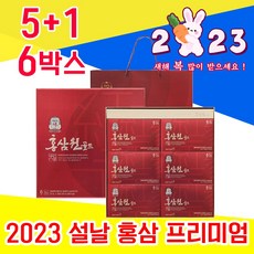 고급 홍삼 원 정관장 2023 명절 설날 설 선물 세트 셋트 5만원 6만원 대 수험생 집들이 예비 시댁 처가 친정 시 부모님 직장 상사 거래처 어르신 감사 효도 첫월급, 5+1 6박스 - 다니마켓