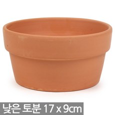 낮은토분 TOP01