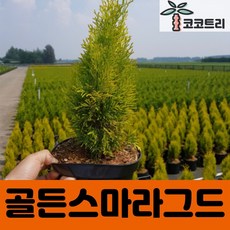bdfdc23c500ce686b80474d1ed46f793af5296c5786638158677acb9cf9f.jpg