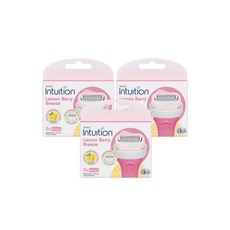 쉬크인튜이션레몬