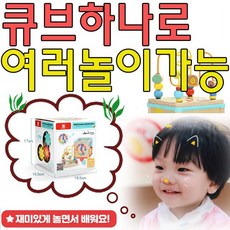 아빠롤러코스터