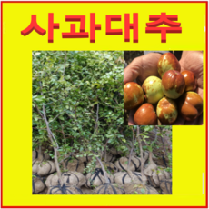 8da0b7c96382c9fc70a4f30b28da76d5fa112d78a9aaa8e8578a3aa55318.png