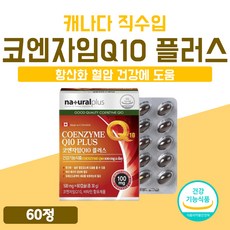 큐비코