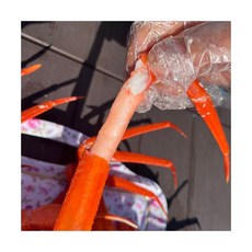 독도 홍게 3kg 자숙 B급 수율 50 70% 내외, 독도 홍게 3kg 자숙 B급 (수율 50-70% 내외)