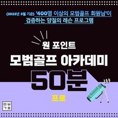 [ 원포인트 50분 - 미디어/투어프로 ] 1:1 프리미엄 골프 레슨 프로 주니어 선수 아마추어, 프리미엄 50분 원포인트 레슨