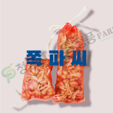예천쪽파씨