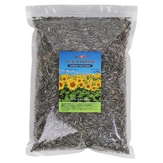 앵무새먹이 알찬 중소형 해바라기씨 1.2kg 햄스터 다람쥐 등, 1개