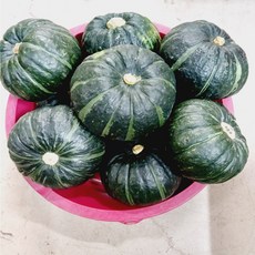 (남새마당) 밤호박 단호박 미니단호박 밤단호박 제주단호박 보우짱 1kg 3kg 5kg 특품 못난이 간식용 다이어트용-옵션더보기후 바로구매, 못난이 1kg(실중량), 1개