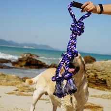 성진크로스테일 캣잎 봉 특대사이즈 상호작용 면 매듭 애완동물 펫 내 물어뜯기 순치 이갈이 강아지 물어뜯다 방망이 금모라, 신비 보라색