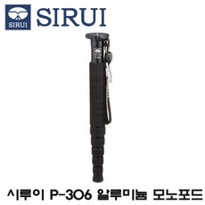 시루이p424