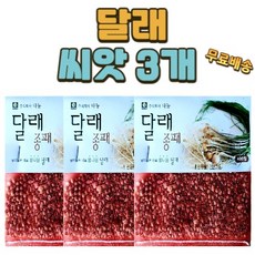 달래씨앗 TOP01
