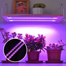 다육이 식물 LED 스틱등+어댑터증정 반려식물 성장등 식물등 LED조명, 03.집게형 화이트_레드 4스틱