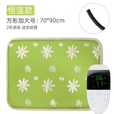 길고양이전기방석