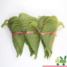 사라상회깻잎