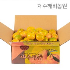 //상품명