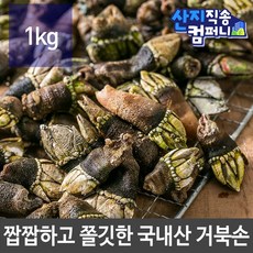 1a8b5485bbbe9dc0ebebb7aea228a39a6ad83a03102f5423f32ed5c0d095.jpg