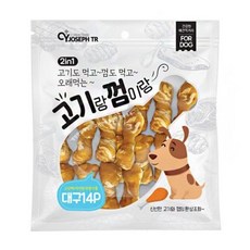 딩고14