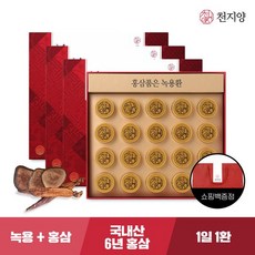 [천지양] 홍삼품은 녹용환 20환*3박스 +쇼핑백, 240g, 3개