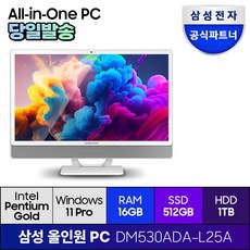삼성전자 올인원PC DM530ADA-L25A 프로스트 화이트 윈도우11프로 일체형PC 기업용 사무용 학습용, RAM 16GB + SSD 512GB + HDD 1TB, 16GB, 1512GB, WIN11 Pro