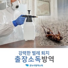 집안바퀴벌레퇴치법