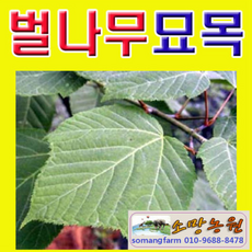 bc5525f5b48a9d2da3836c15e70f6be50d217dfb5b0c4e247d3584482ec2.png