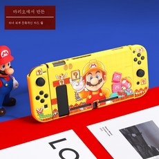 닌텐도풀커버케이스