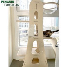 미아오스트럭쳐