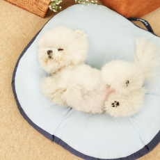 프레피펫 강아지 방석 양면쿠션 커버분리, 스카이블루, 1개