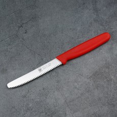 일본 니켄(NIKKEN) 칼라 과도 과일칼 식도, 일자, 1개, 레드
