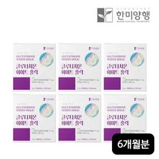 한미양행 한미양행 글루타치온 화이트홀릭 6박스/6개월분, 6개, 단일옵션, 60g