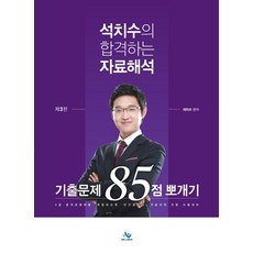 석치수의 합격하는 자료해설 기출문제 85점 뽀개기, 윌비스
