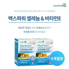 시서스갑상선기능저하