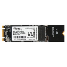 VIVA 300s M.2 LITE SSD, 1TB, 상세페이지 참조