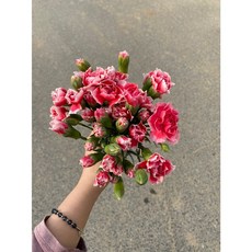 9694561a4680d4baefdfa1233c91c936f474e35c07fc9fa38d0b486cc794.jpg