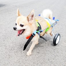  애구애구 강아지 휠체어 보행기 