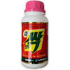 모두싹