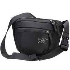 아크테릭스웨이스트백