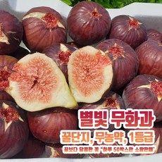 땅끝무화과주식회사