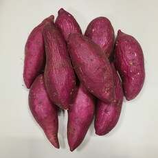 아빠의마음고구마