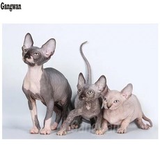 고양이자수액자