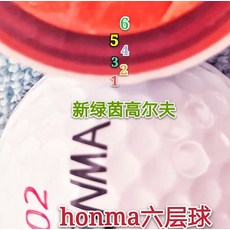 해외 정품 골프공 Honma FOREMOST 3~4층 아래, 단일옵션, 옵션03